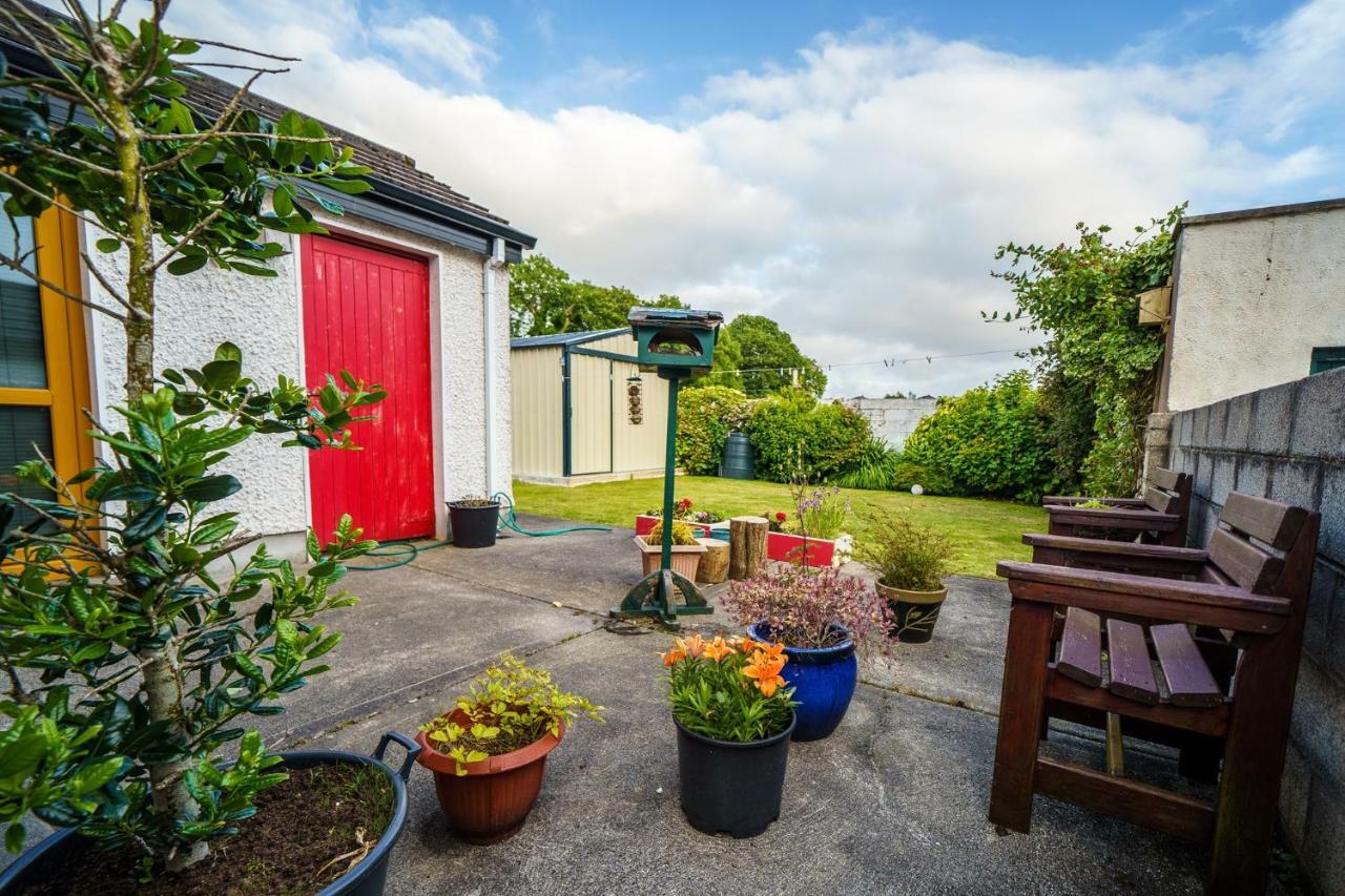 Simbavati B&B Ballina  Exteriér fotografie